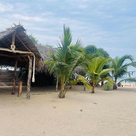 Surfing Beach Nilaveli تريكونامالاي المظهر الخارجي الصورة