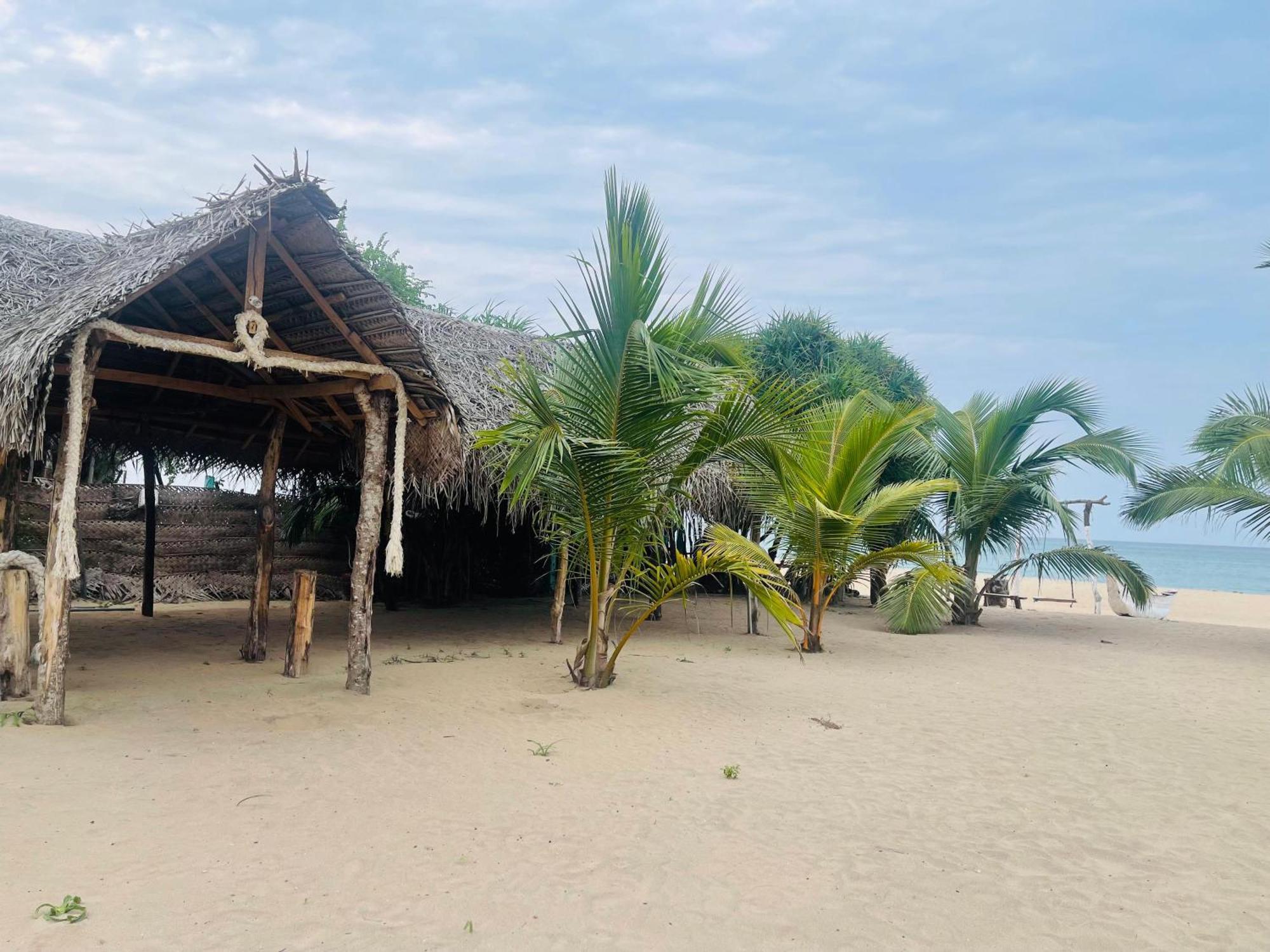 Surfing Beach Nilaveli تريكونامالاي المظهر الخارجي الصورة